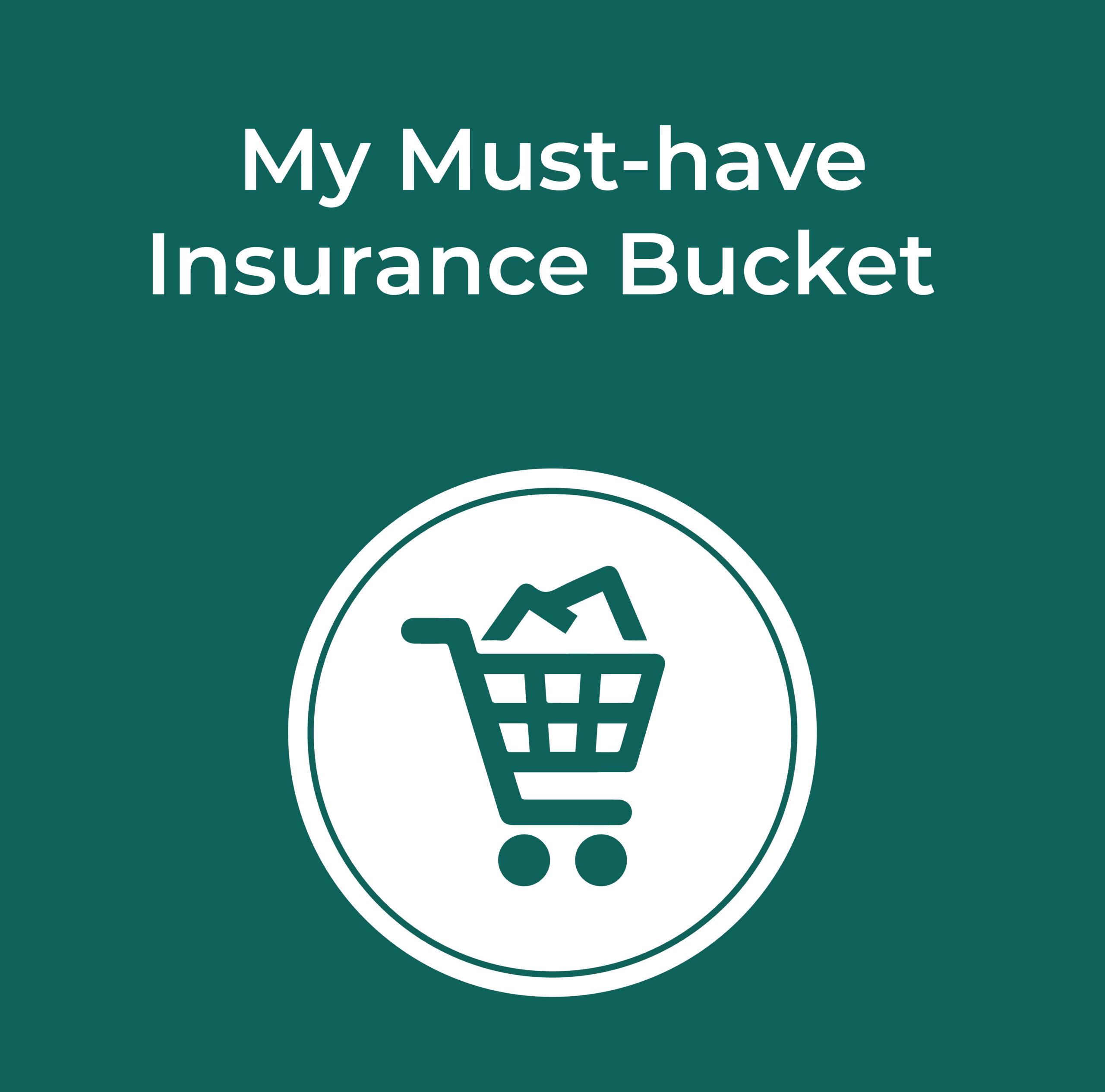 My Must-have Insurance Bucket